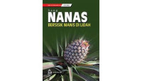Image of Sang Nanas Bersisik Manis di Lidah