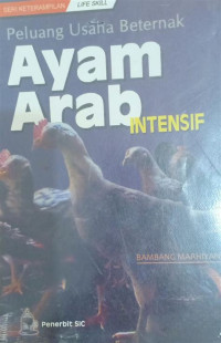 Image of usaha bertenak ayam arab